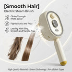 Brosse Cheveux Spray Anti-Statique Rechargeable