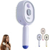 Brosse Cheveux Spray Anti-Statique Rechargeable